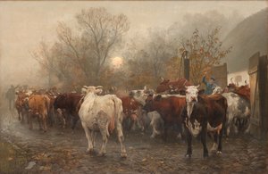 Conduire les vaches hors de l