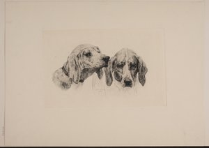 Deux têtes de chien