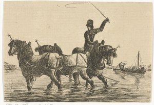 Trois chevaux de trait dans l
