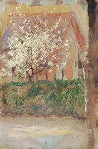 Arbre à fleurs blanches dans le jardin de devant