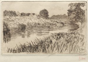 Sur le Bronx, 1906
