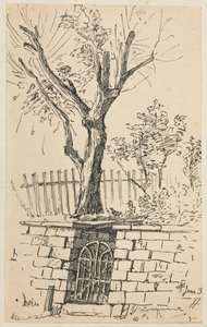 Arbre sur un mur de pierre, Cleveland