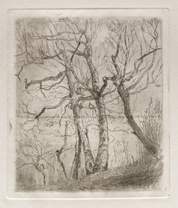 Arbres