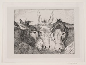 Trois têtes d
