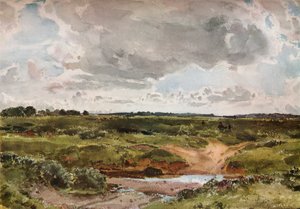 Southwold Common en août, vers 1889 - Otto Limited