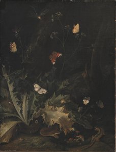 Un Sol Forestier avec un Chardon, un Serpent, un Lézard et des Papillons - Otto Marseus  van Schrieck