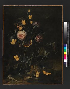 Fleurs, insectes et reptiles, 1673