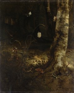Sol forestier avec un serpent, des lézards, des papillons et d