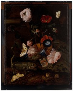 Nature morte forestière - Otto Marseus  van Schrieck