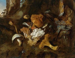Nature morte au sol forestier avec champignons, papillons et serpent