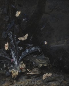 Nature Morte avec Chardon et Serpent