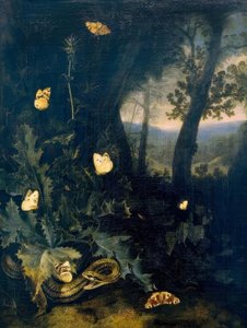 Sol forestier avec chardon et serpent - Otto Marseus  van Schrieck