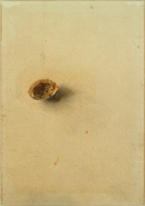 Coquille de noix - Otto Meyer Amden