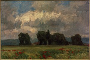 Paysage sombre avec des peupliers et des coquelicots