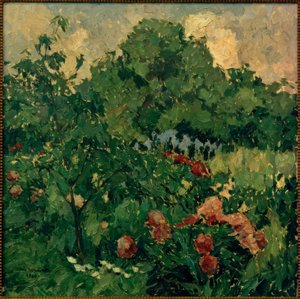 Mon jardin