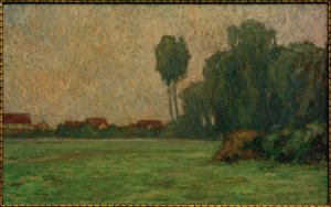 Brouillard sur le pré