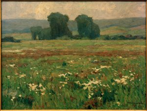 Peupliers dans un pré fleuri