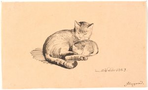 Chat couché avec son chaton