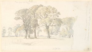 Paysage de Jægersborg Dyrehave avec des arbres isolés - P.C. Skovgaard