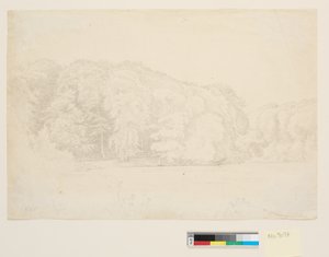 Lac forestier avec de grands hêtres en arrière-plan - P.C. Skovgaard