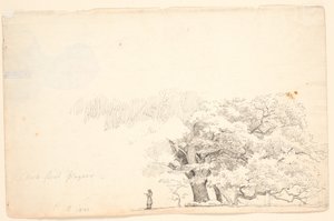 Grands chênes, à gauche un homme lisant