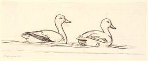 Deux canards. Esquisse décorative.