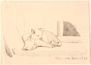 Deux chats endormis