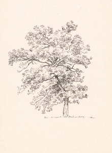 Arbre à Fredensborg - P.C. Skovgaard