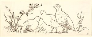 Trois perdrix. Esquisse décorative