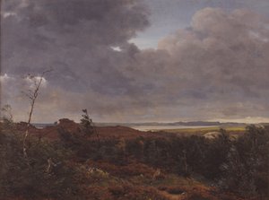 Vue de Frederiksværk depuis la forêt de Tisvilde, Nord de la Zélande