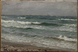Paysage marin. Skagen