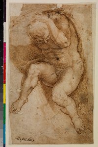 Figure masculine nue (d