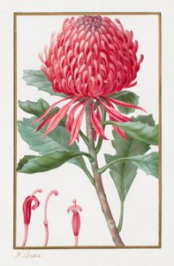 Sans titre, 1828-1835