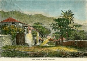 Une rue à Roseau, Dominique, vers 1880