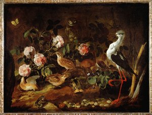 Nature morte avec une chouette et un ibis - Still-life with owl and ibis …