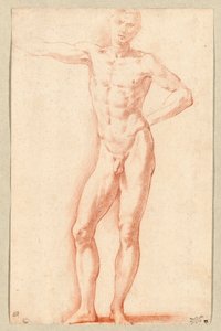 Nu masculin (craie rouge)
