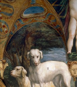 Paire de chiens, détail du Mythe de Diane et Actéon, par Francesco Mazzola dit Parmigianino (1503-1540), fresque, côté nord de la Salle de Diane et Actéon, Rocca Sanvitale, Fontanellato, près de Parme, Italie, vers 1524