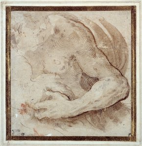 Étude du bras gauche, de la poitrine et de la tête d