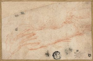 Croquis de la main et du poignet gauches