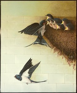 Bouches affamées, 2011 (acrylique sur calicot) - Pat Scott