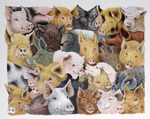 Pigs Galore (acrylique sur calicot)