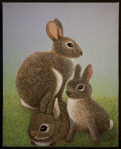 Famille Lapin, 2016