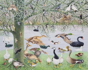 Le canard bizarre (acrylique sur toile)