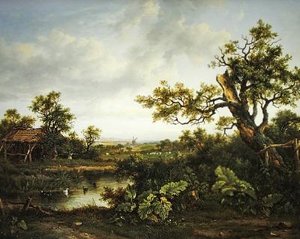 Paysage boisé