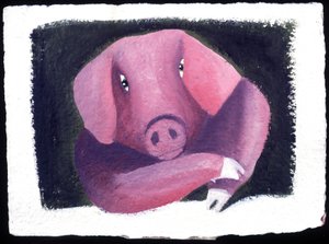 Horoscope chinois : le signe du porc