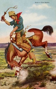 Cow-boy sur cheval sauvage