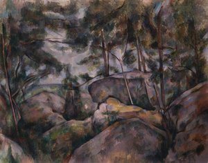 Rochers dans la forêt