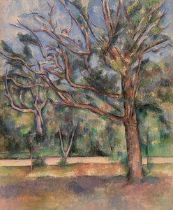 Arbres et route