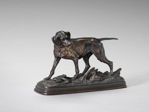 Pointer sur un faisan