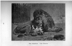 Bons amis